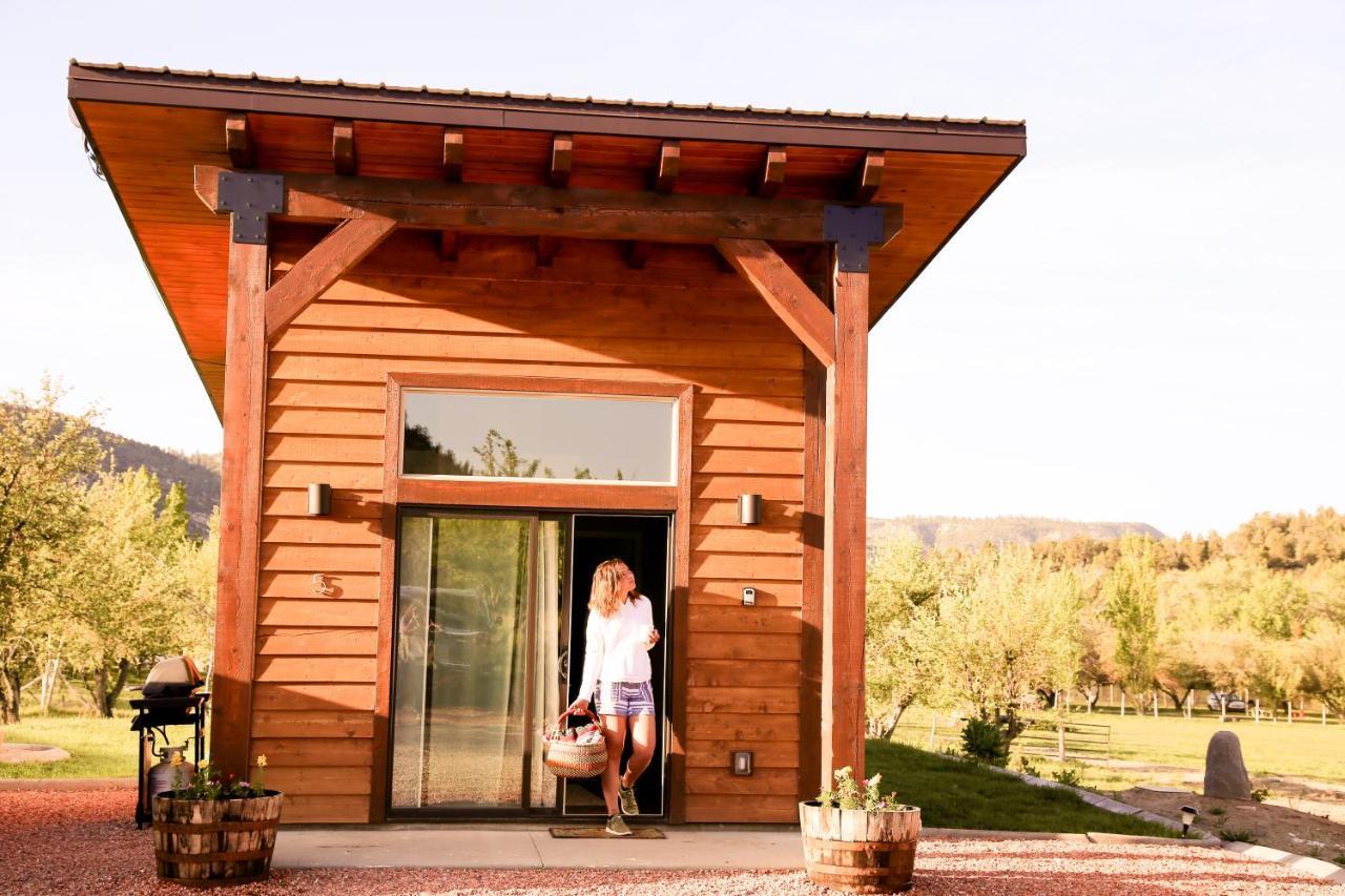 Apple Hollow Cabins Глендейл Экстерьер фото